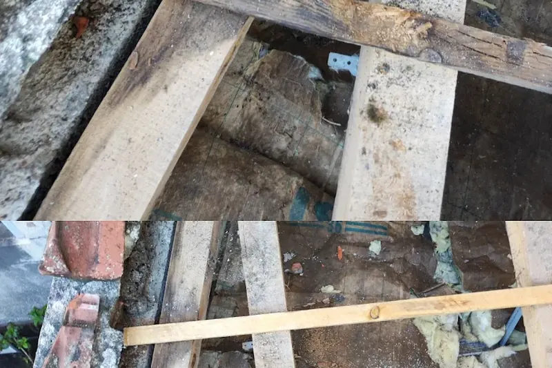 Réparation d'une charpente bois attaquée par l'humidité à Valentigney